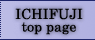 ICHIFUJI TOP